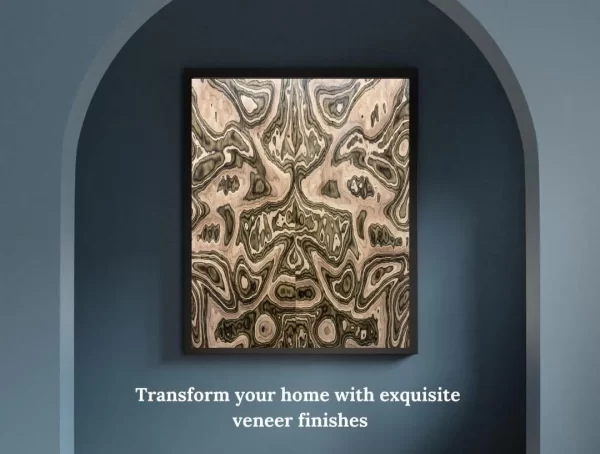 Hybrid Veneer