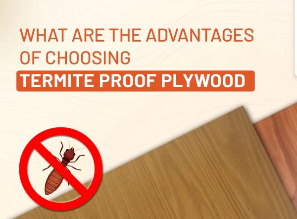 Termite-Resistant Plywood